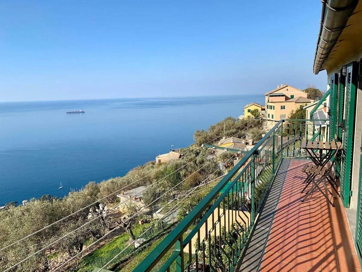 Casa Bubo Apartment Bogliasco Italy